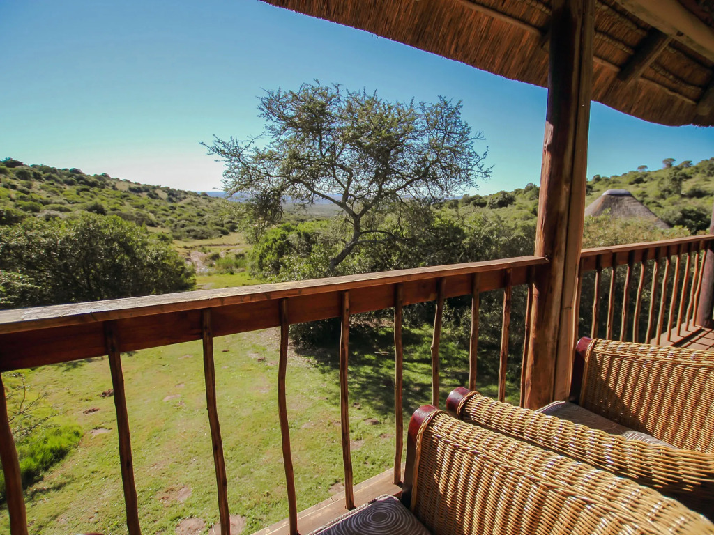 Bukela Game Lodge Amakhala Game Reserve