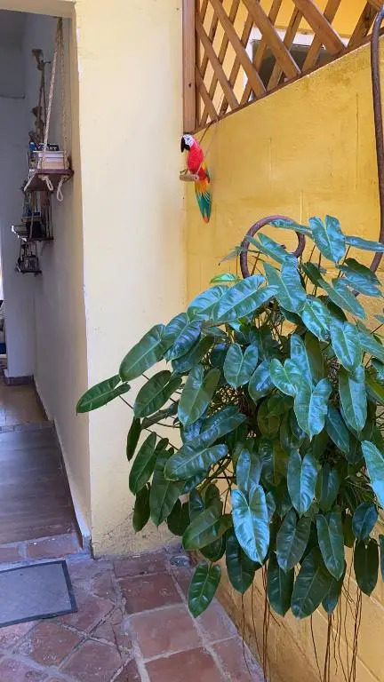 Chao Mamá Hostal