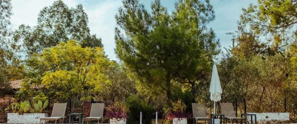 Eski Yeni Tatil Evi Olympos