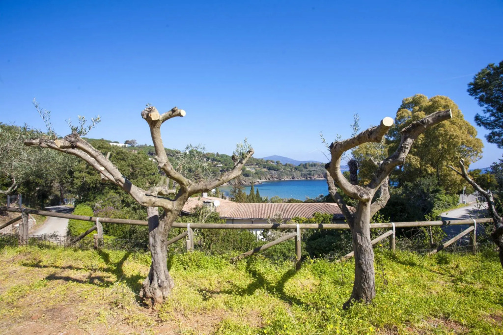 Villetta I Limoni in an elegant estate just a few steps from the beach of Straccoligno-VILLINO I LIMONI