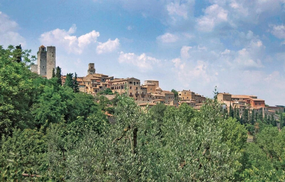 Zafferano 1