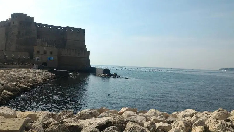 B&B La Scelta