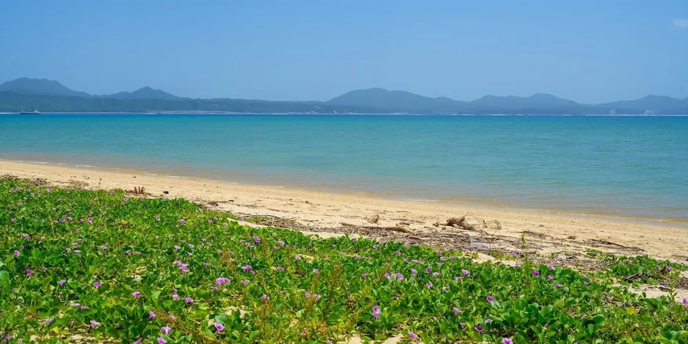 Onna Resort