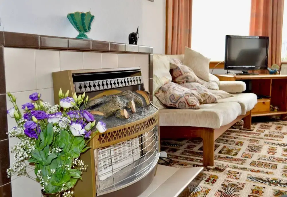 Homely 2 Bed With Arthur Seat Views