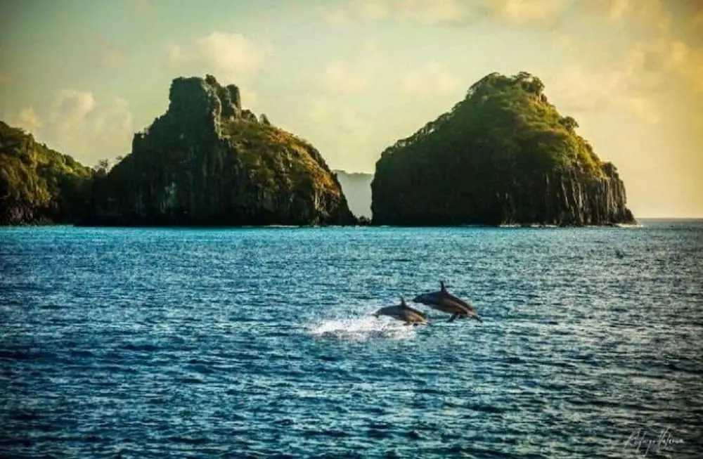 Pousada Flôr do Atlântico