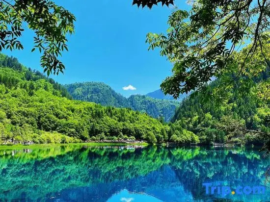 Jiuzhaigou Jianshan Shishan Garden Beautiful Homestay