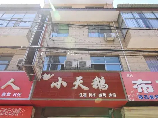 Xiaxian cygnet hotel