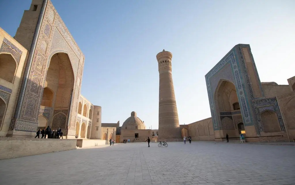 Bukhara Zaringiz PREMIUM
