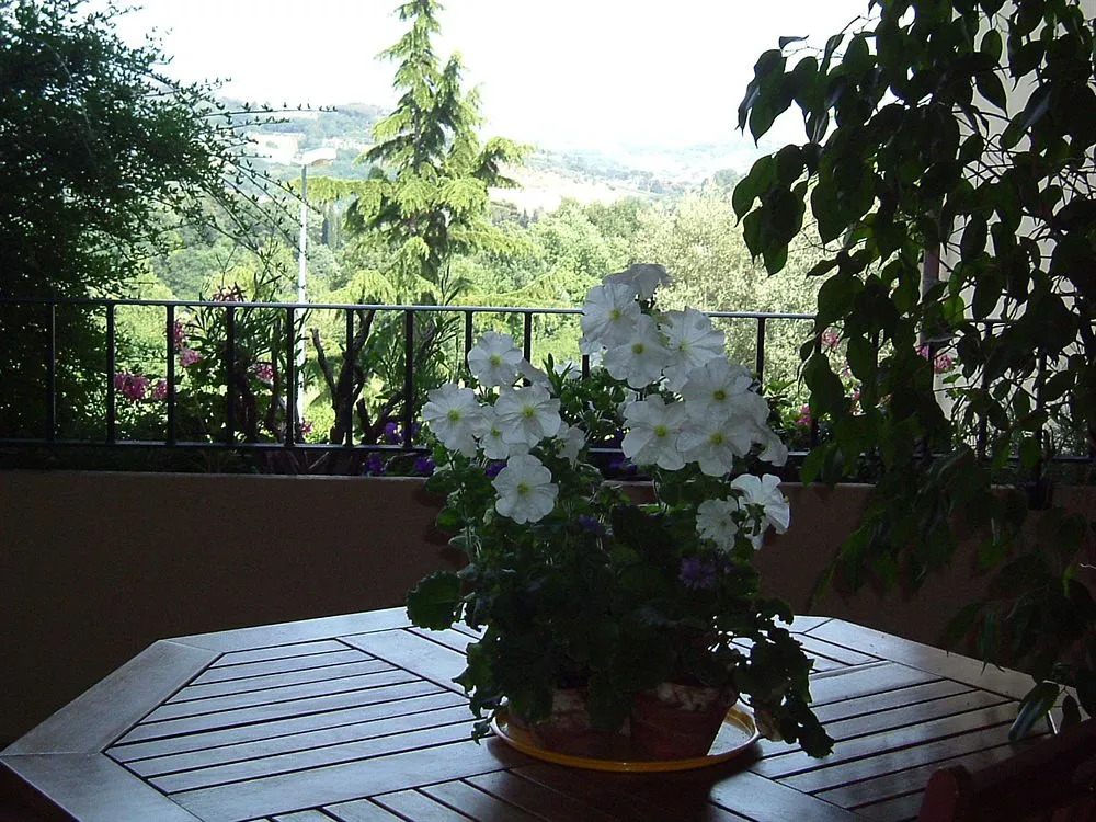 Il Giardino di Matilde