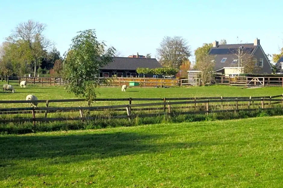 B&B Biesehof