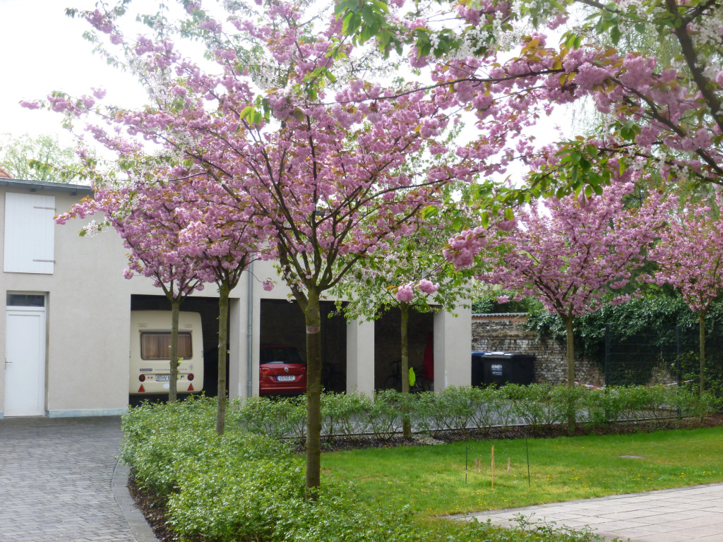 Hotel Mit-Mensch
