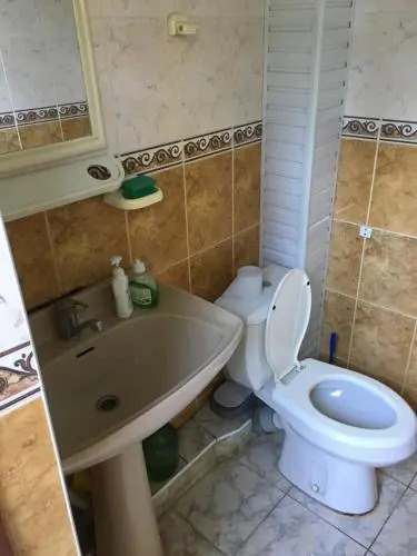 Желанный гость