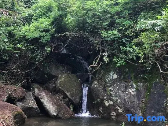 Hengyang County Shanshuijian Homestay