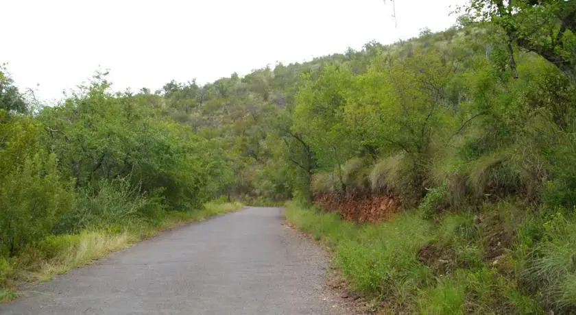 Mafuta Lodge