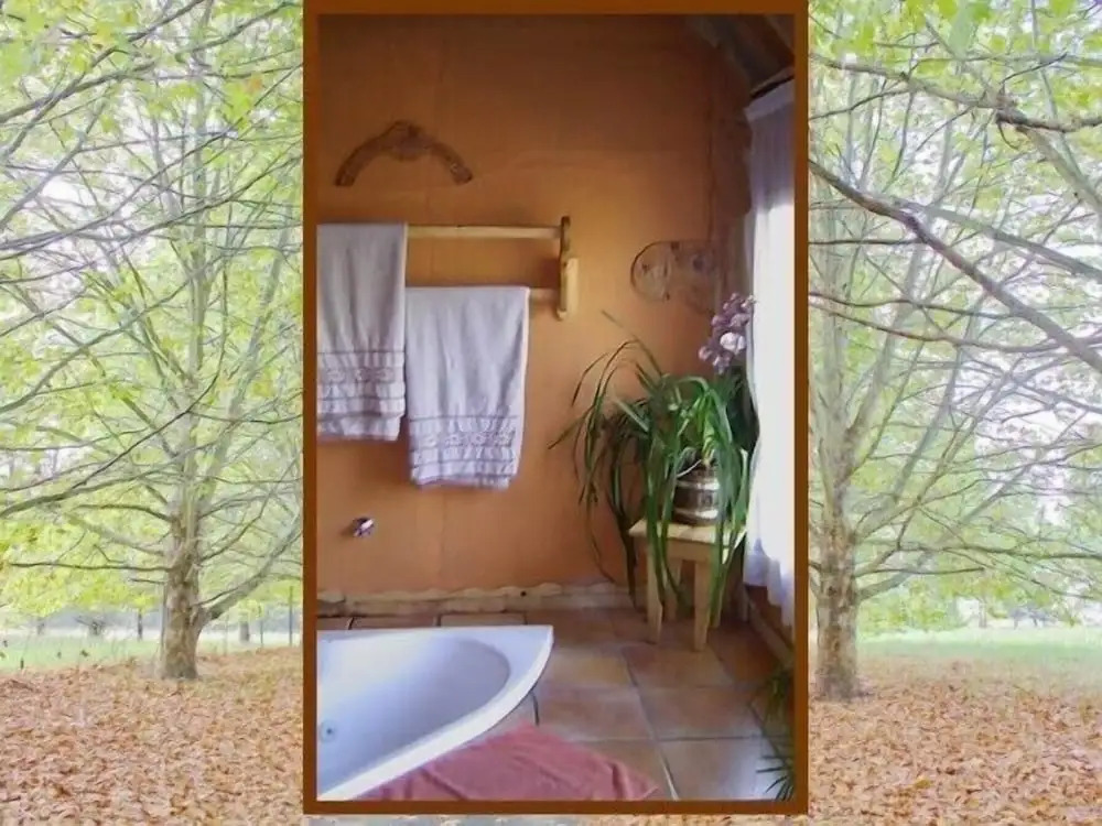 Sycamore Avenue Treehouses & Cottages Accommodation
