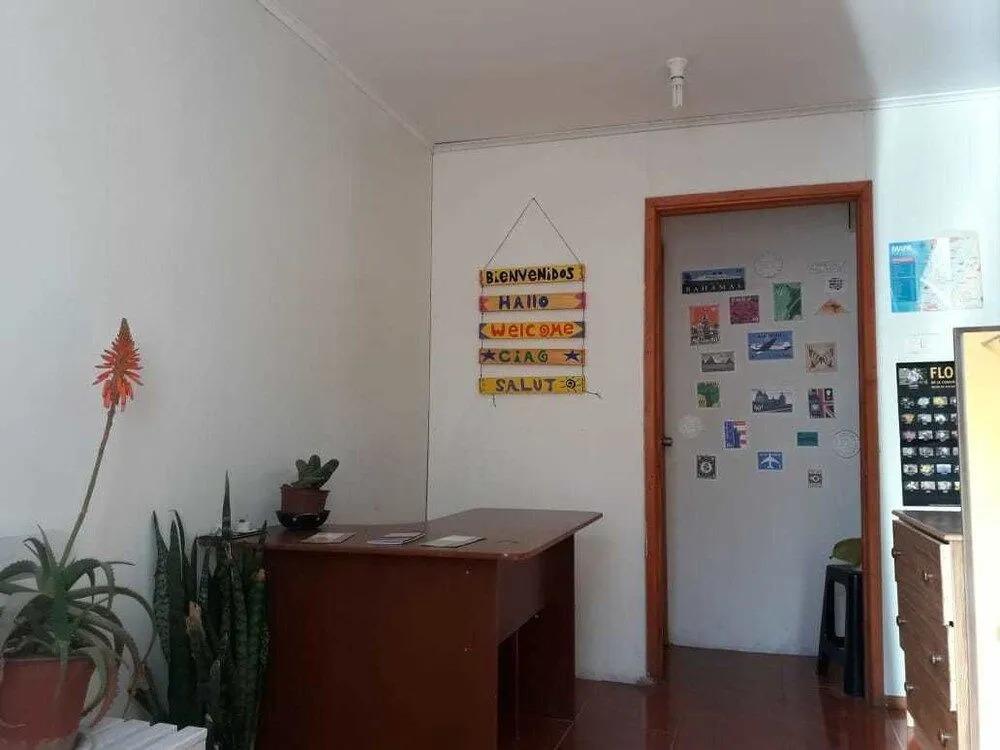 Hostel Cactus