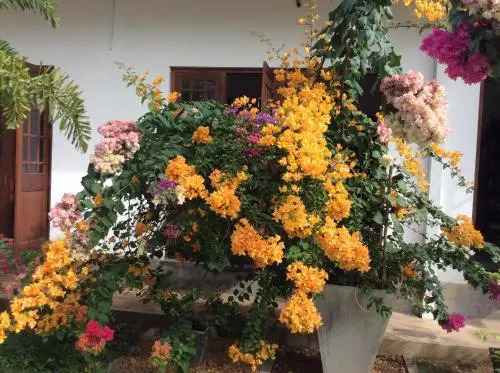 Abeysvilla