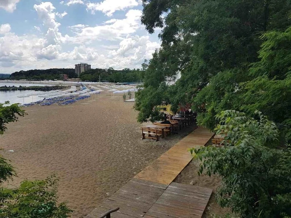 Вила Салена
