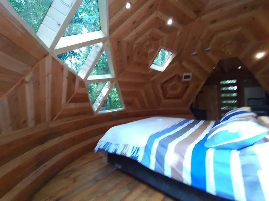 Domo Bosque Nativo Villarrica comuna