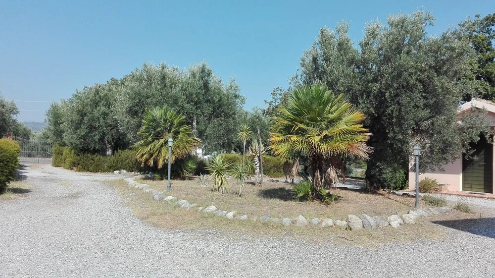 B&B Pathirion