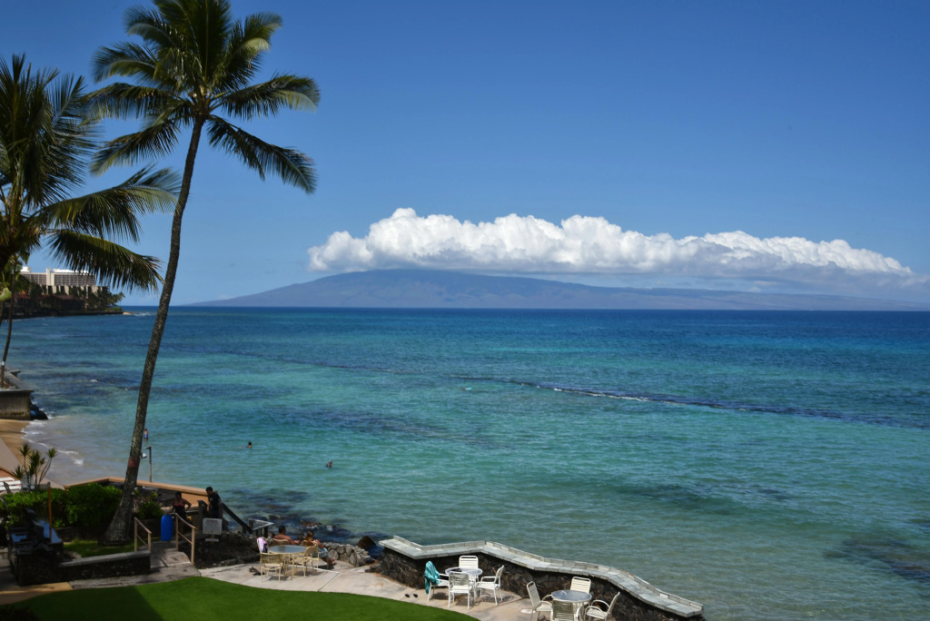 Kaleialoha 409
