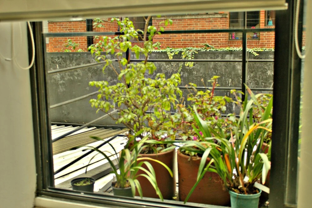 Virrey Loft 2 By Nomad Guru