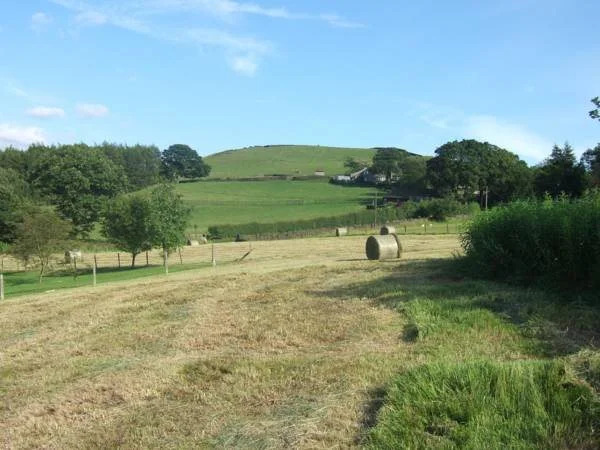 The Wind in the Willows Country House Hotel
