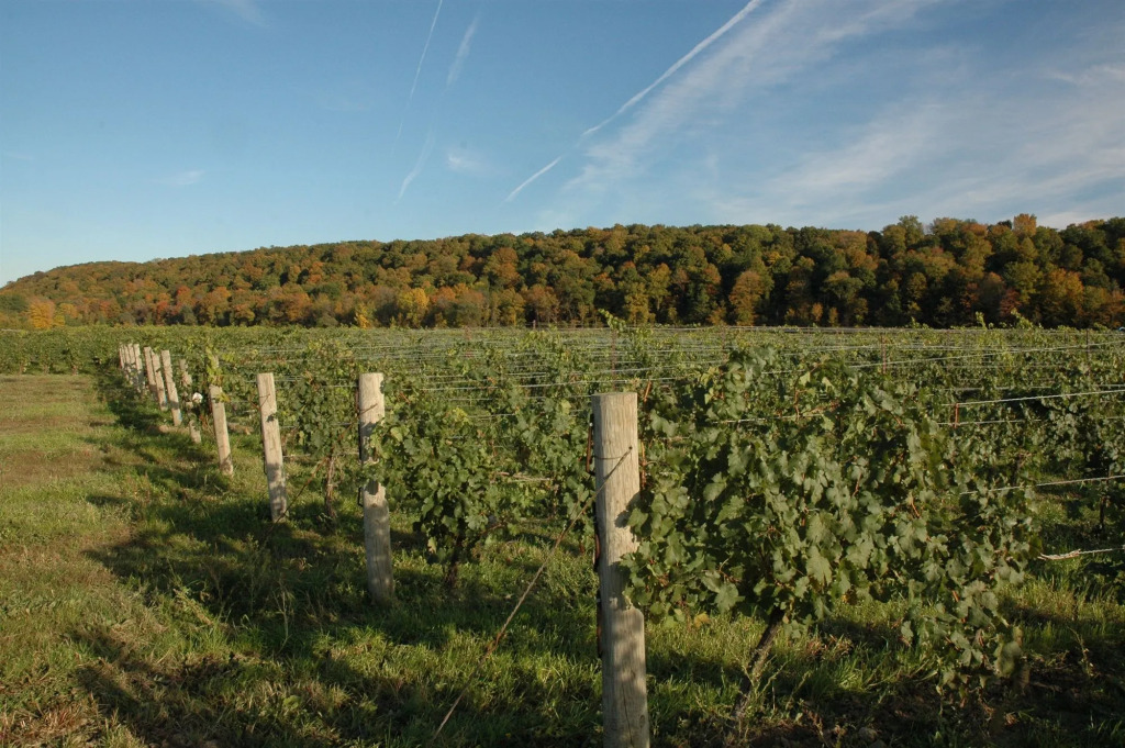 Residence & Conference Centre - Niagara-on-the-Lake