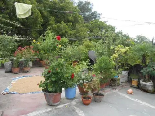 Maruti Guest House