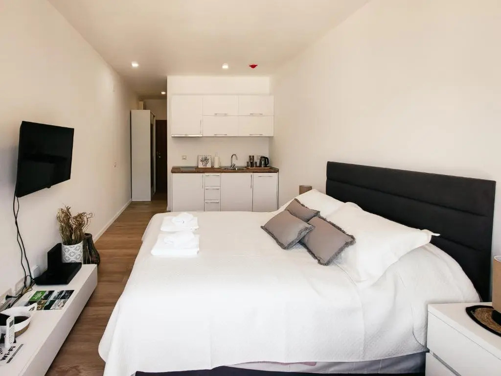 Brand new studio with panorama view