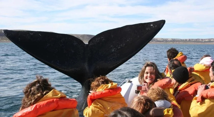 Bahia Delfines