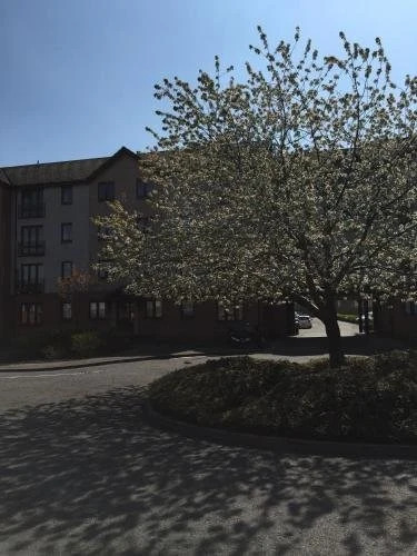 Edinburgh Lochend Apartment