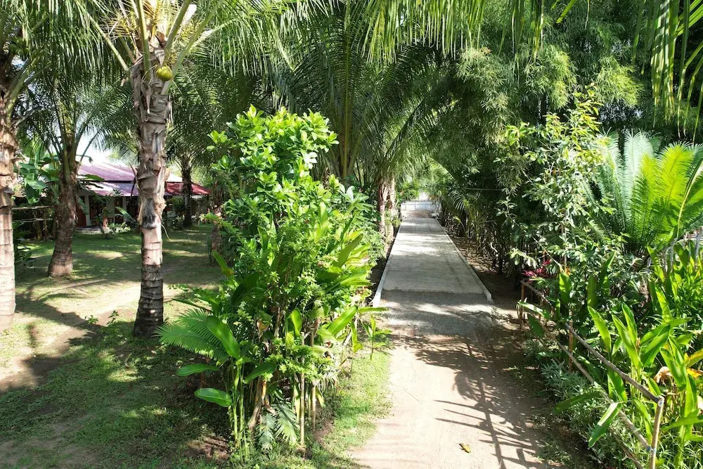 Coconut homstay