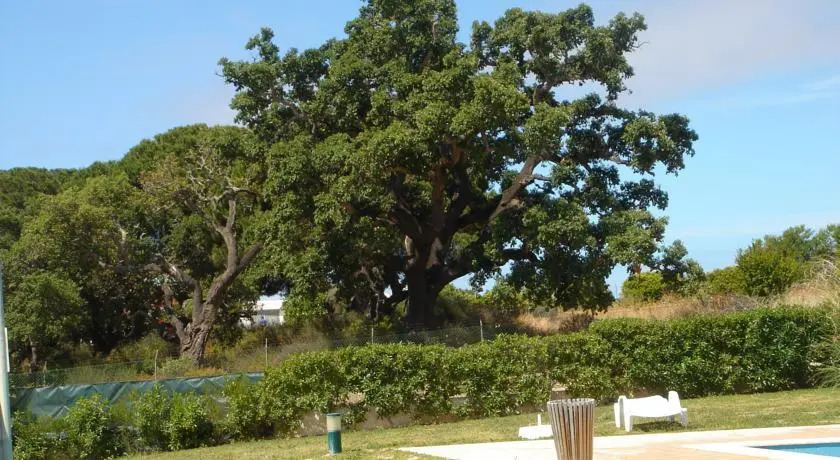 Quinta dos Crastos