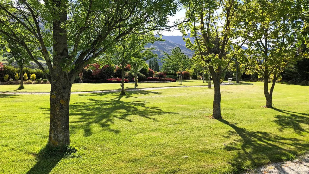Alpine View Lodge
