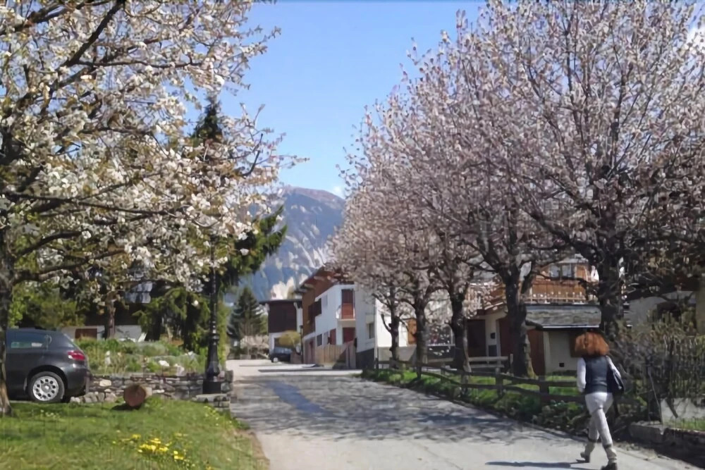 Chalet Carlinouf