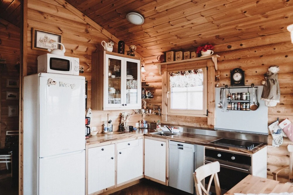 Log Cabin at White River