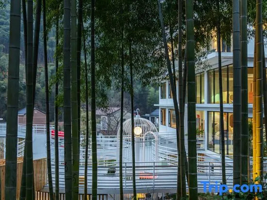 Yaojia｜Township see cloud bamboo Valley river hot spring guest house