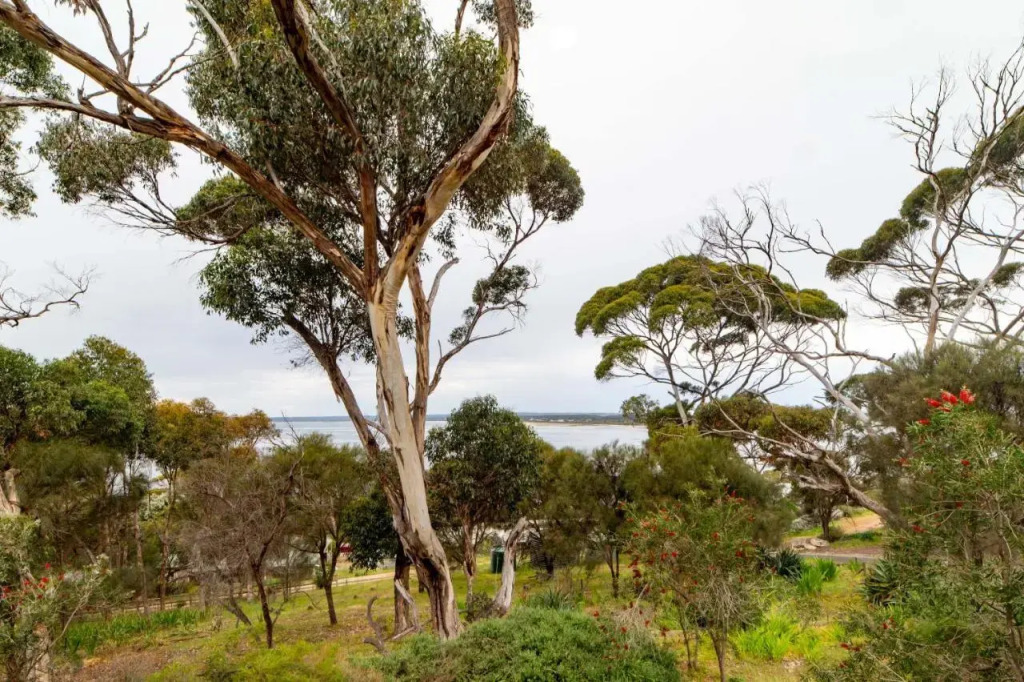 Cooinda Holiday Village House