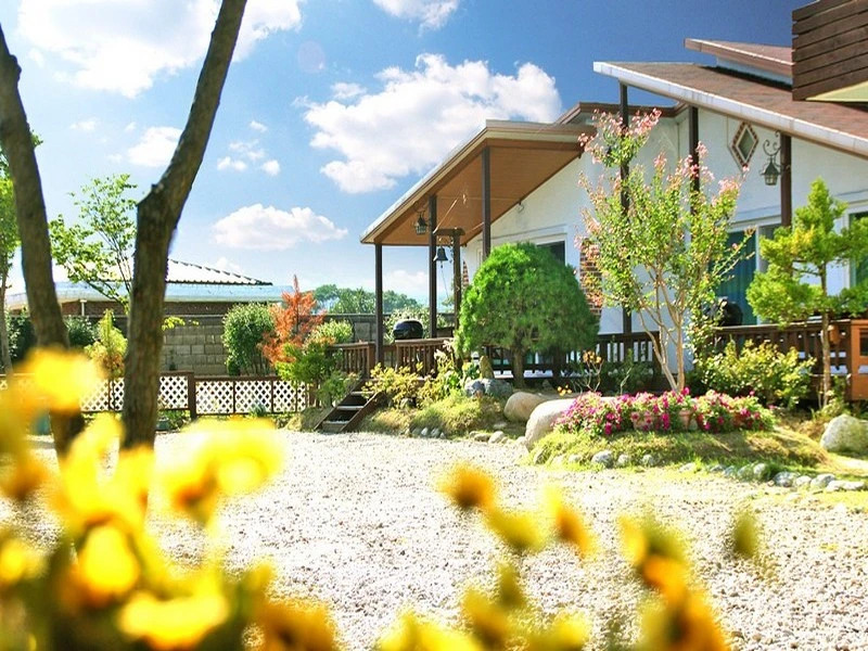 Freesia Pension