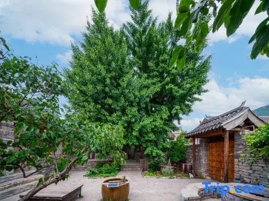 Two Ginkgo Trees · Old House Courtyard Homestay (Tianjin Jizhou Xijingyu)