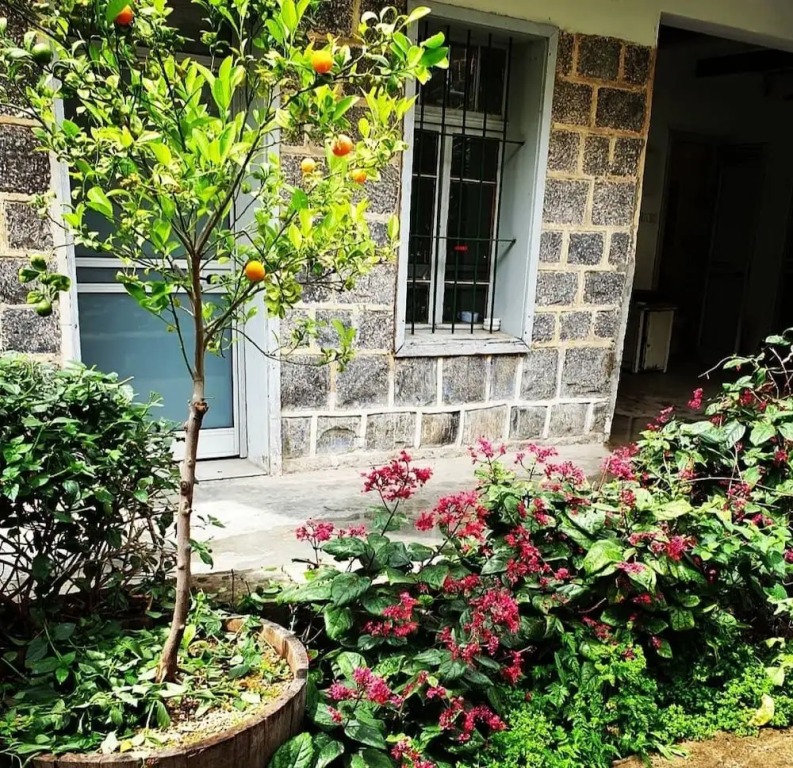 Berenice Winery Hotel