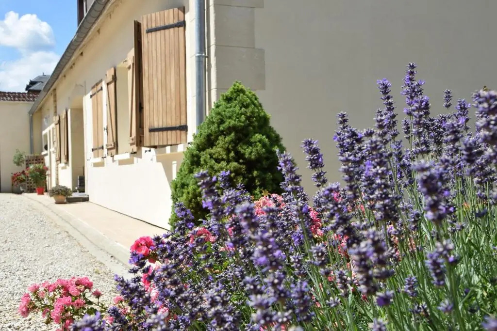 Rêve Champenois Chambres dHôtes