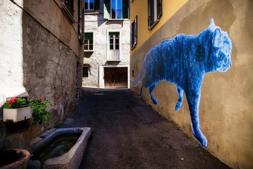 Casa D'Artista