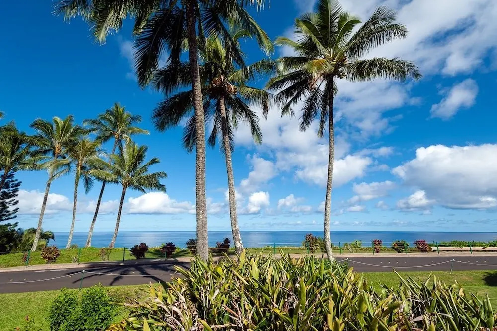 Hanalei Bay 26 - 2 Br Home