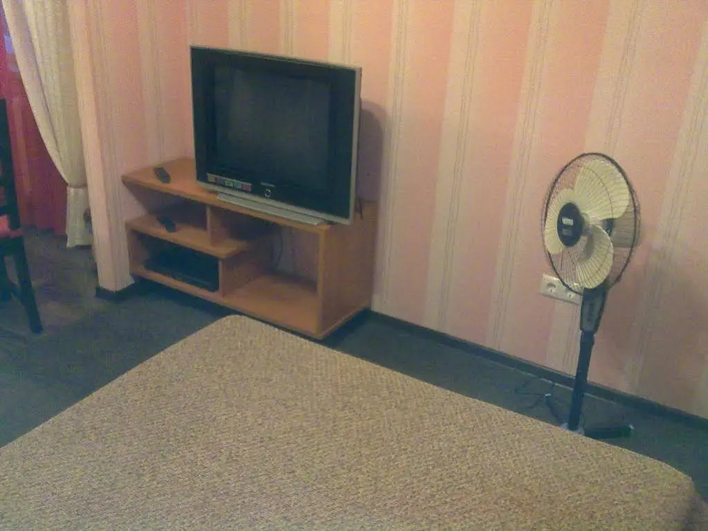 Lomonosov Area Apartments