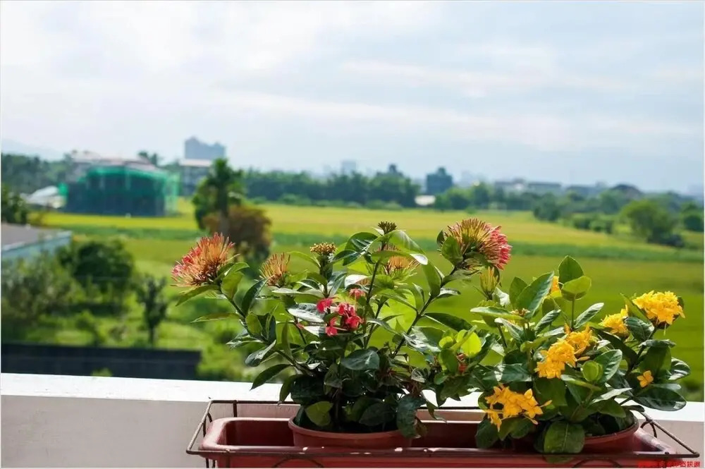 No. 57 Homestay