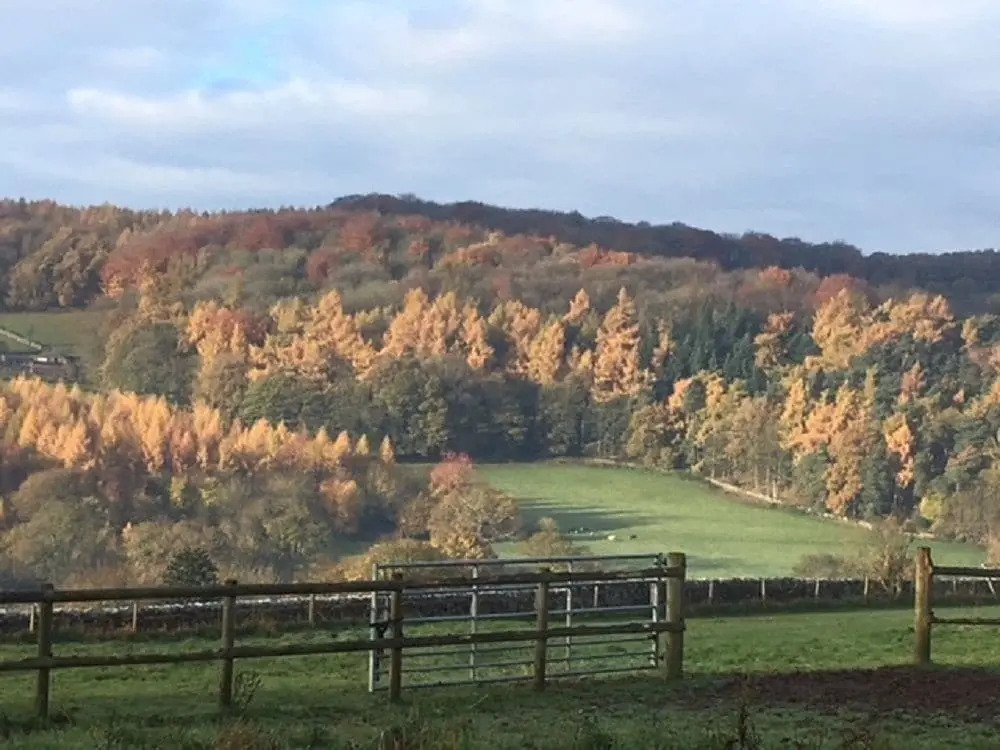Grange Farm Bed & Breakfast