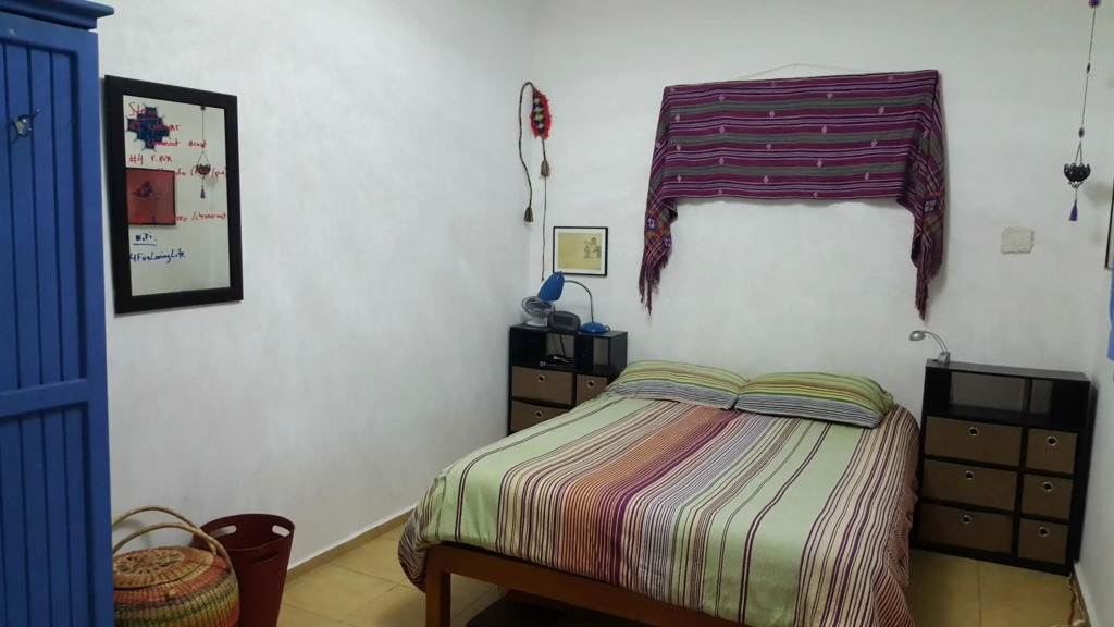 Cozy & Full Apt in Coyoacan Great for Long Stays