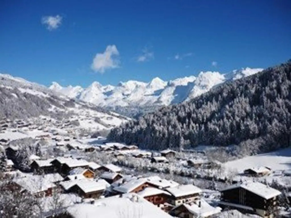 Appartement Le Grand-Bornand, 1 pièce, 4 personnes - FR-1-241-132
